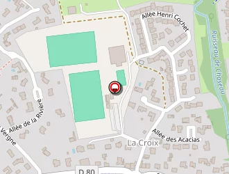 Carte de Roy Patrick à Sainte-foy