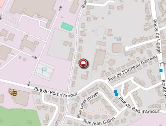 Carte de Auriault Philippe à Saint-benoît