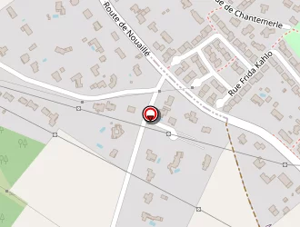 Carte de Pontais Stéphane à Saint-benoît