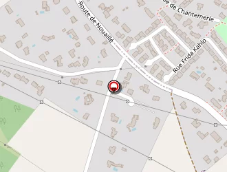 Carte de Allard Therese à Saint-benoît