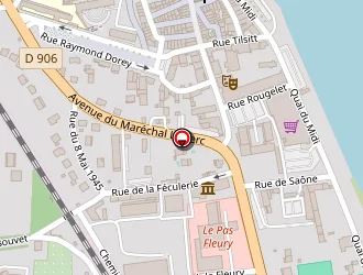 Carte de Lidl à Tournus