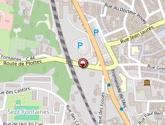 Carte de Centre De Loisirs à Tournus