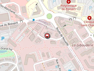 Carte de Bourdel Cécile à Saint-benoît