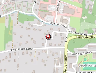 Carte de Krzeminski Emilie (a.e) à Tournus