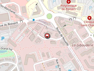 Carte de Schouwey Laurent à Saint-benoît