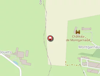 Carte de Araucaria à Coulandon