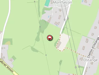 Carte de Tournus Occasion à Tournus