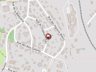 Carte de Solano Sandrine à Chauvigny