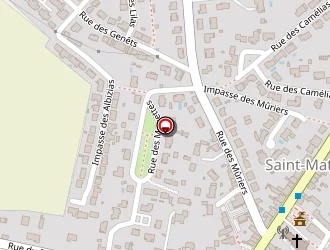 Carte de Mairie à Saint-mathurin