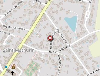 Carte de Diamant Noir à Saint-mathurin