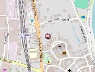 Carte de Artisat à Tournus