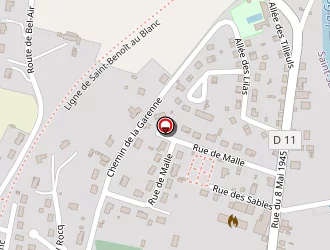 Carte de Ecole Primaire à Saint-savin