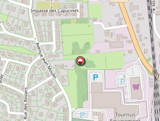 Carte de Galuchot Olivier à Tournus