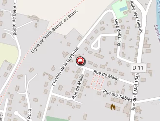 Carte de Papin Damien à Saint-savin