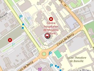 Carte de Raimbault Monique à Moulins