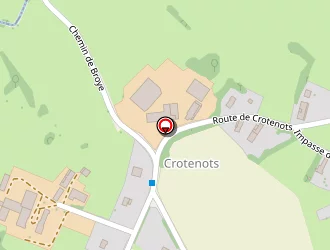 Carte de Rose Joël à Miroir (le)