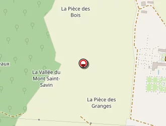 Carte de Pestel Marc à Saint-savin