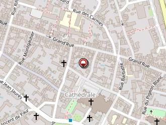 Carte de Alienor.org,conseil Des Musees à Poitiers