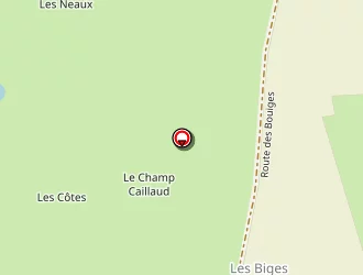 Carte de Mairie à Sarzay