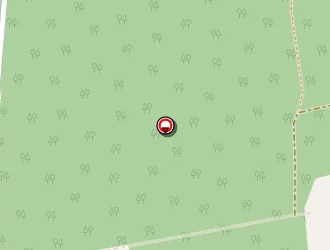 Carte de Térrasson Denis à Biard