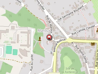 Carte de Baillargeaux Bruno à Argenton-sur-creuse