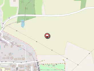 Carte de Pro Services à Nesmy