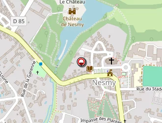 Carte de Cherreau Denis à Nesmy
