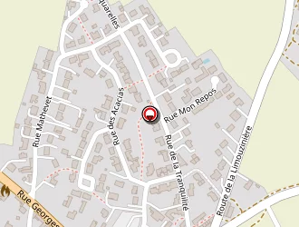 Carte de Brachet Philippe à Saint-florent-des-bois