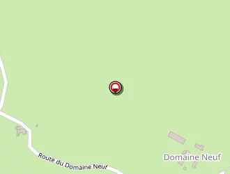 Carte de Noyon Catherine à Theneuille