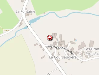 Carte de Branger Didier à Vasles