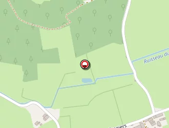 Carte de Transport Joncynois à Joncy