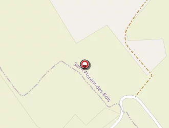 Carte de Les Ecuries De Salène à Nesmy