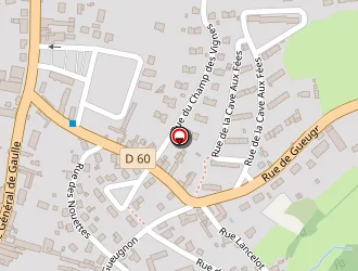 Carte de Raymond-kneiper Nicole à Bourbon-lancy