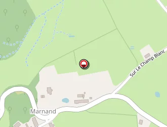 Carte de Bois Marnand à Joncy