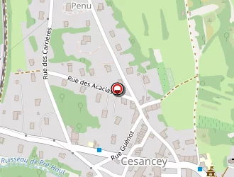 Carte de Mairie à Cesancey