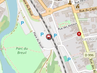 Carte de Bonin David à Louhans