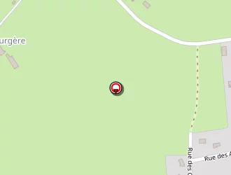 Carte de Chausseau Yannick à Tallud (le)