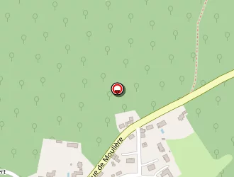 Carte de Leonien Francis à Bignoux