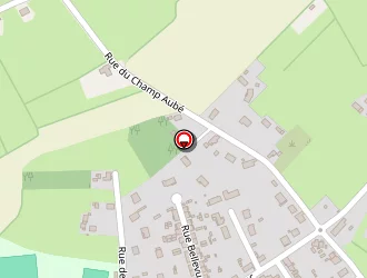 Carte de T-dog à Bourbon-lancy