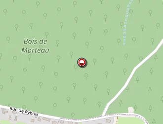 Carte de Commeau Didier à Saint-vallier