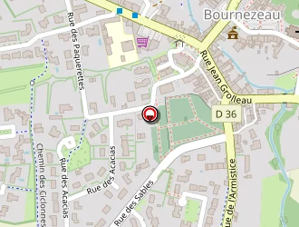 Carte de Phelipeau Adèle à Bournezeau