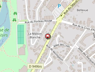 Carte de Mix Anim' à Parthenay