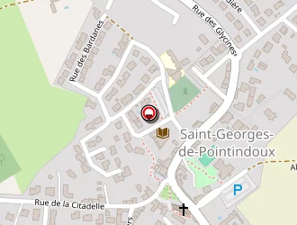 Carte de Rabiller Laurent à Saint-georges-de-pointindoux