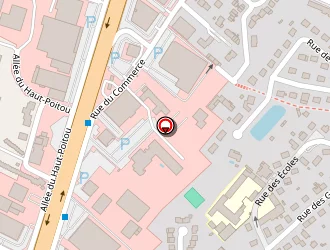 Carte de Multi Services à Chasseneuil-du-poitou