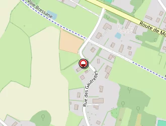 Carte de Renaud Didier à Branges