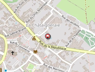 Carte de Cédéthèque à Châtaigneraie (la)
