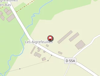 Carte de A . F . Lavigne à Martinet