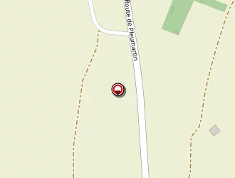 Carte de Boireau Patrick à Puye (la)