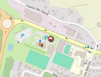 Carte de Mehdi Media à Châtaigneraie (la)