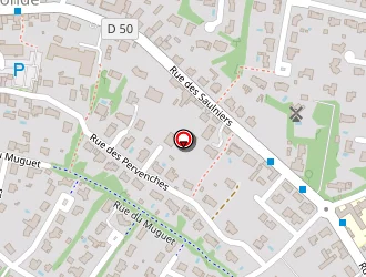 Carte de Perraudeau Anthony à Landeronde